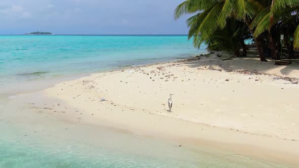 Drone Flying Along Wild Empty Maldive Island Beach