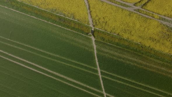 Footpath In Arable Fields Birds-Eye-View Aerial