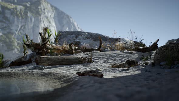 White Sand Beach Near Rocky Cliffs at Ocean alt
