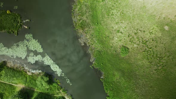 Flight Over The City Park. You Can See The Lilies On The River. Aerial Photography From Above..