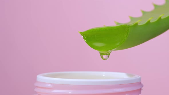 Aloe Vera Juice or Gel for Cream