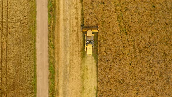 Combine harvesting field. Aerial view of agriculture in Poland.