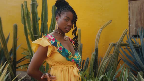 Portrait of a Young Pretty AfricanAmerican Woman with Afro Braids in a Yellow Dress