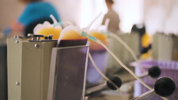 Separation of Blood Into Plasma in Plastic Bag