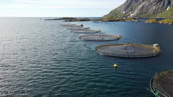 Farm Salmon Fishing in Norway