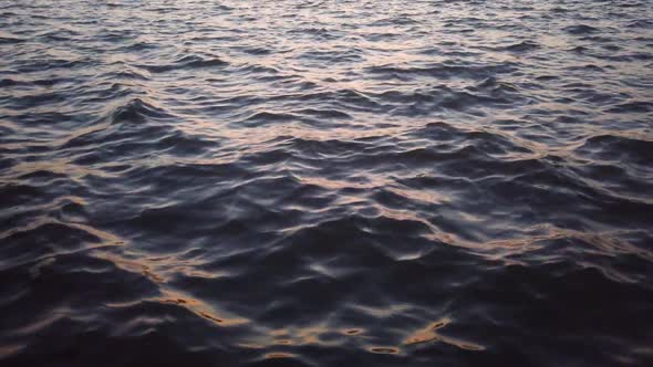 Park Lake waves at sunset. Beautiful calm scenery