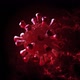 Stylized Coronavirus - VideoHive Item for Sale