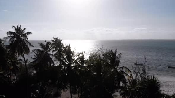 Paradise Coast Resort with Palm Trees and Hotels By Ocean Zanzibar Aerial View