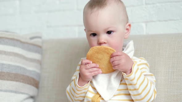 Child Makes Funny Faces Eats Big Tasty Cookie