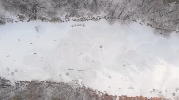 Frozen River In Forest