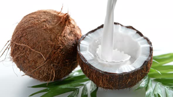 Super Slow Motion Shot of Milk Splashing on Fresh Coconut at 1000Fps