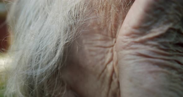 Closeup of an Elderly Old Woman with a Wrinkled Hand Wipes Her Eye with Her Hand and Looks Straight