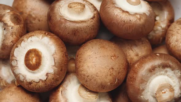 Top View Of Uncooked Fresh Raw Royal Champignon Mushrooms Rotating Close Up