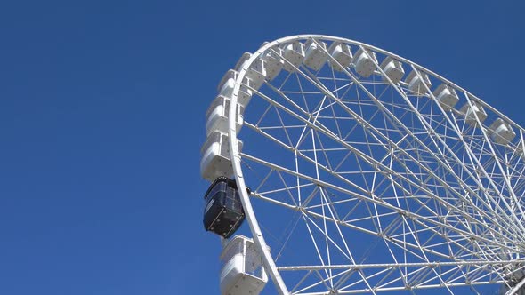 Ferris Wheel In Park