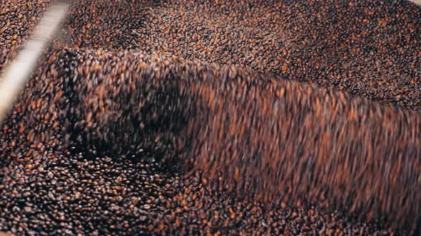 Grinding Machine Works with Roasted Coffee Beans at a Food Plant