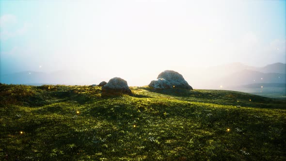 Alpine Meadow with Rocks and Green Grass