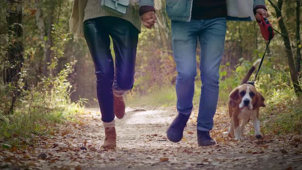 Couple with dog on a leash running in autumn park