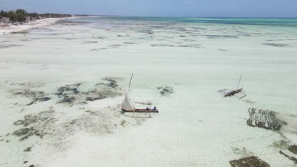 Low Tide in the Ocean Near the Coast of Zanzibar Island Tanzania