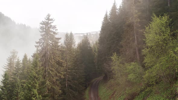 Jib up of beautiful mountain trail with fog rolling up mountain slope