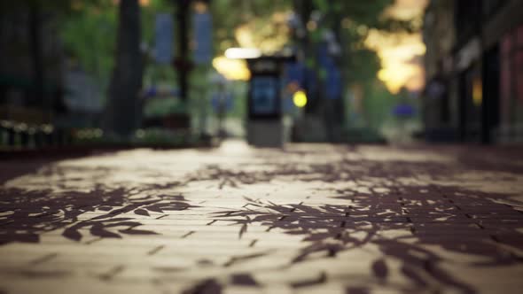 Quiet City Park with Trees and Benches alt
