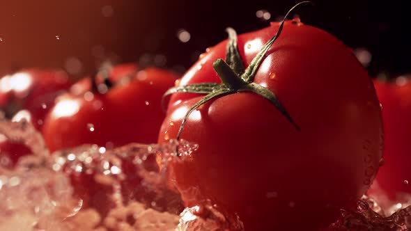 Water splash on fresh tomatoes on table. Slow Motion.