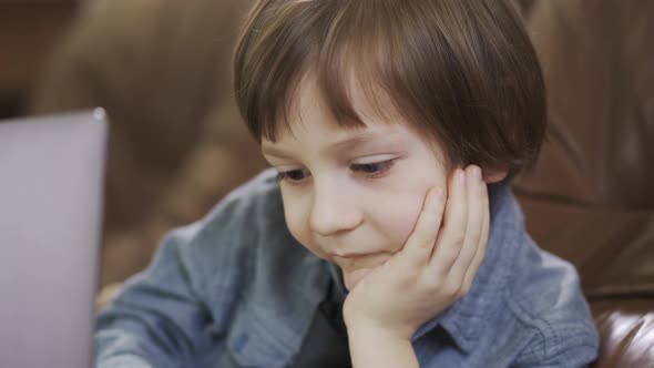 Portrait Adorable Small Boy in Jeans Jacket Sitting on the Leather Sofa Playing on the Laptop