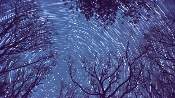 star trails north celestial pole stars rotating in a forest timelapse SHORTER VERSION