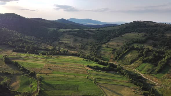 Aerial view of the picturesque Carpathians with slanting slopes and spruces. Aerial drone view