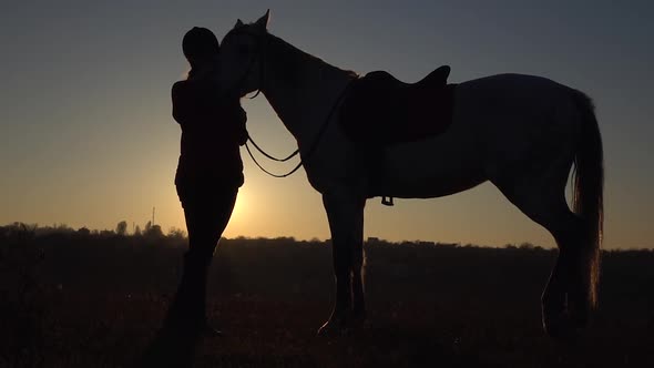 Girl Is Standing in the Meadow and Stroking the Horse a Beautiful Sunset