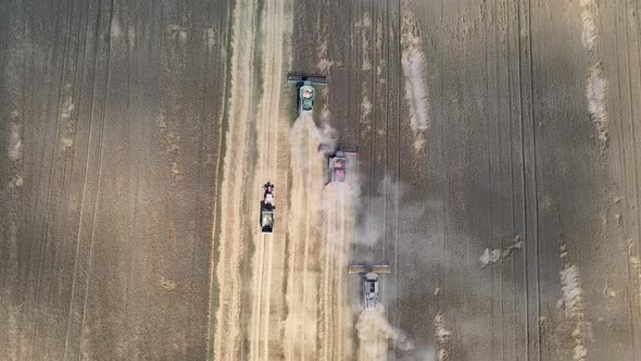 Aerial view of three harvesters and tractor with trail working in wheat field