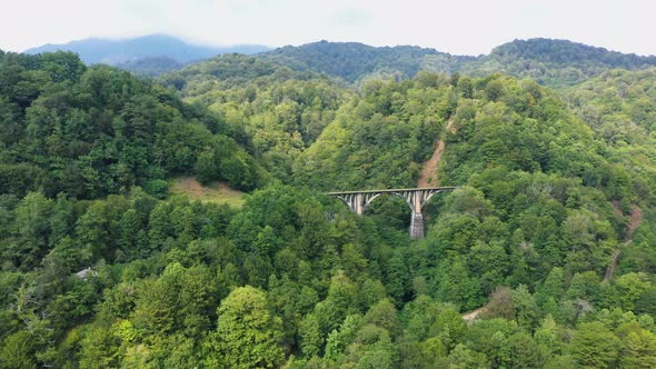 Old Miners' Railway Bridge in the Mountains and Forests