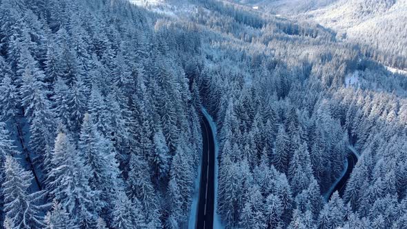 Mountain Road Through The Wintery Forest