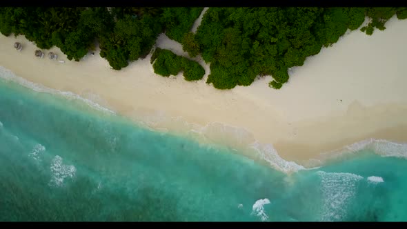 Aerial top down scenery of relaxing bay beach wildlife by blue water and clean sand background of a 