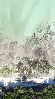 Tanzania  Vertical Video of the Ocean Near the Coast of Zanzibar Slow Motion