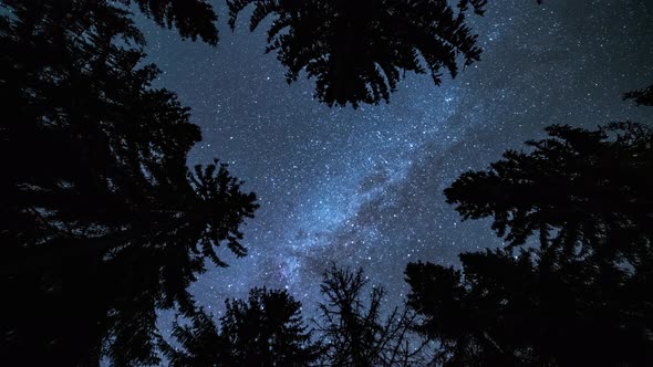 Milky Way Galaxy Stars Light Turning in Dark Forest Astronomy