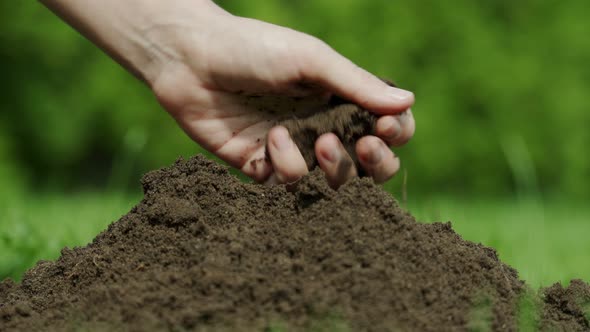 Farmer Holding Soil in Hands