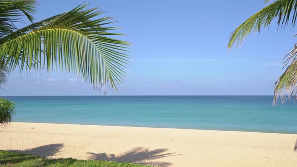 Amazing beautiful Phuket beach with coconut palm trees Thailand Landscapes view of sand beach sea