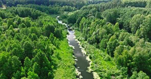 Green algae on small river. Aerial view of nature