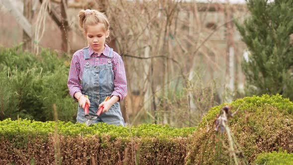 a Funny Little Girl Cuts Bushes in the Garden with Large Pruner