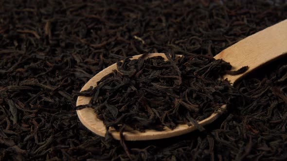 Wooden spoon with black tea in a pile of dried tea leaves 