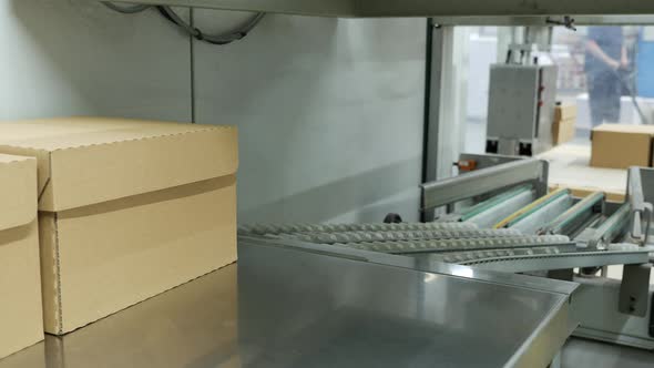 Cardboard boxes on a conveyor at distribution warehouse