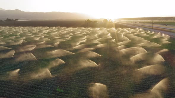  Aerial Above the Active Irrigation System Watering the Green Field at Sunset