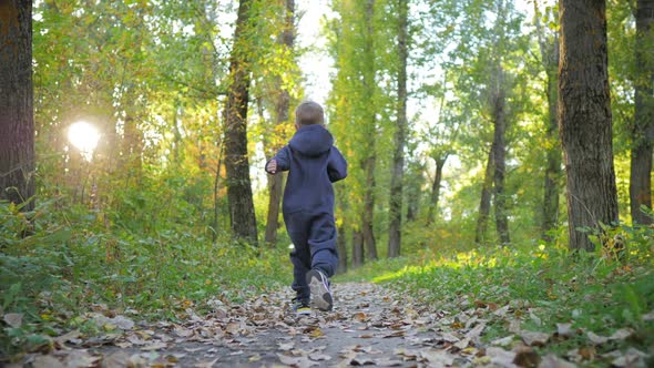 Child Running in the Yellow Leaves