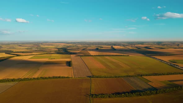 Panoramic Aerial Footage Top View Over Yellow Fields of Corn Wheat and Sunflower in Ukraine Rural