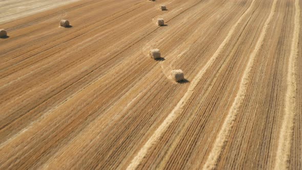 Round Hay Bales At The Field 3