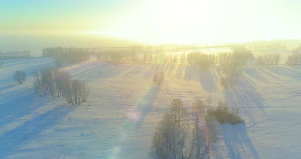 Aerial Drone View of Cold Winter Landscape with Arctic Field Trees Covered with Frost Snow and