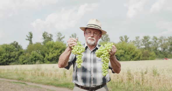 Handsome Farmer in Hat and Glasses Holds Branches of Grapes and Smiles at Camera
