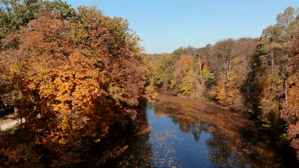 Flying Over Lake in Autumn Park on Sunny Day