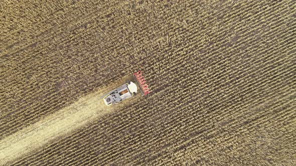 Aerial View of a Harvester Harvesting Corn in the Field