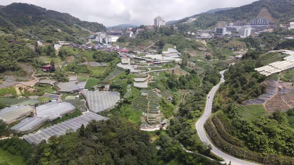 Cameron Highlands, Pahang Malaysia